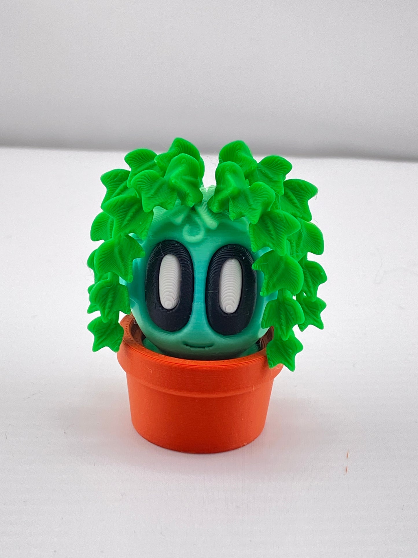 Mini Plants