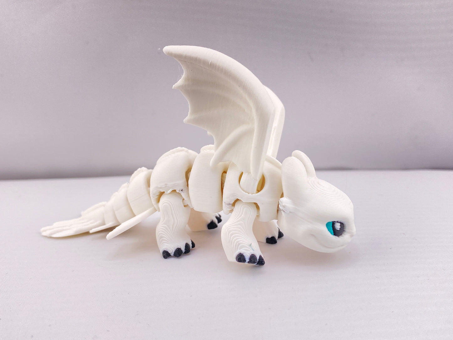 No Teeth/Light Dragons