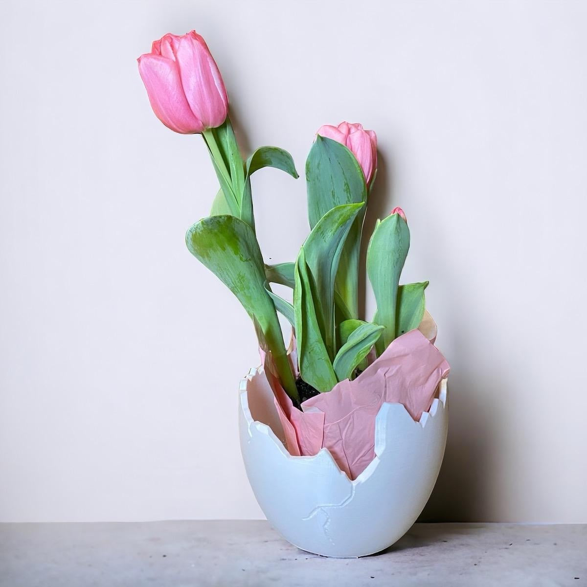 Cracked Egg Planter Easter Gift