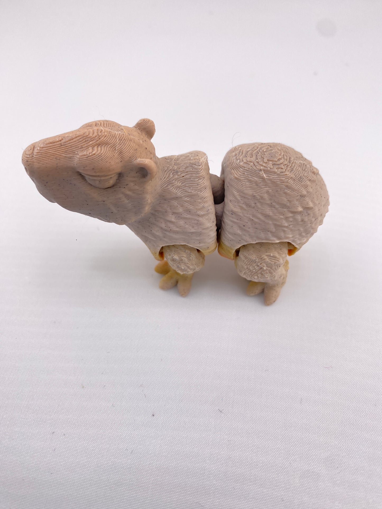 Flexi Capybara