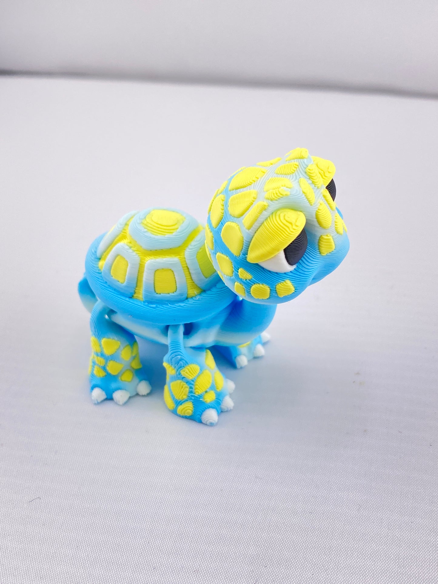 Small Tortise