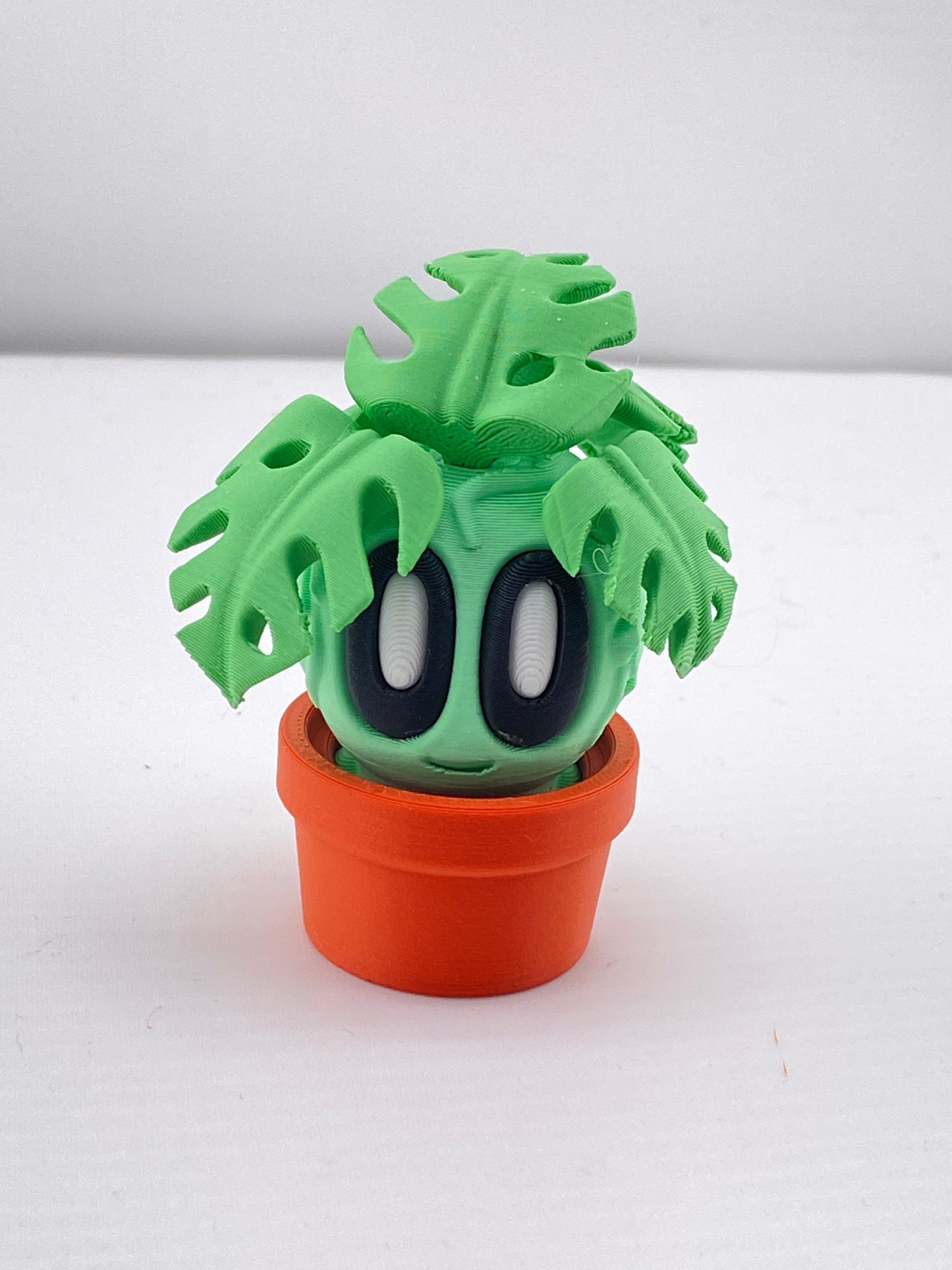 Mini Plants