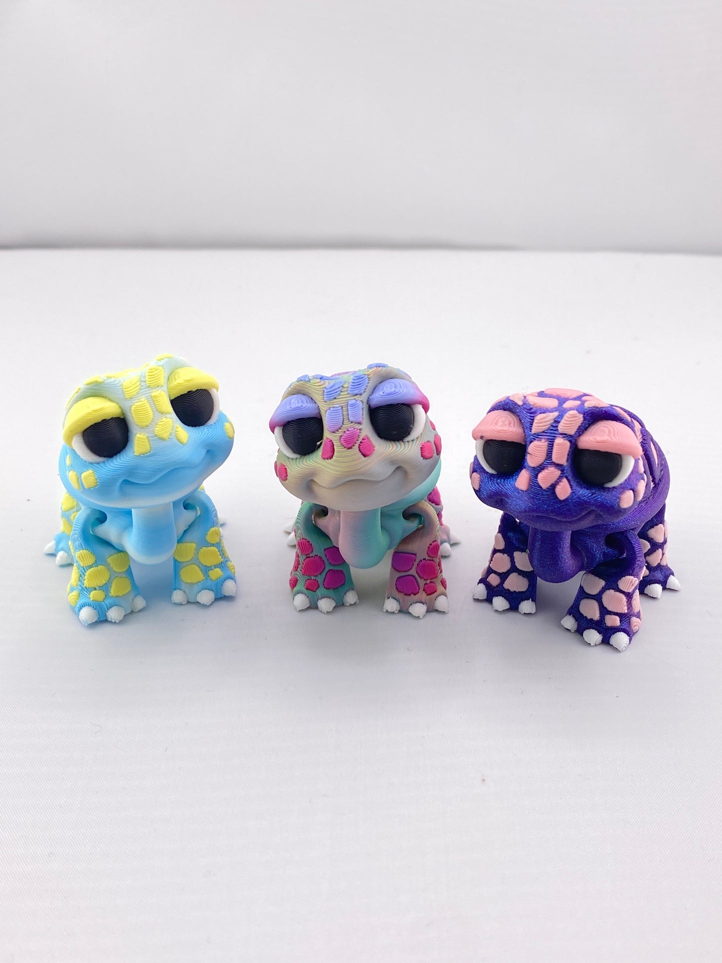 Small Tortise