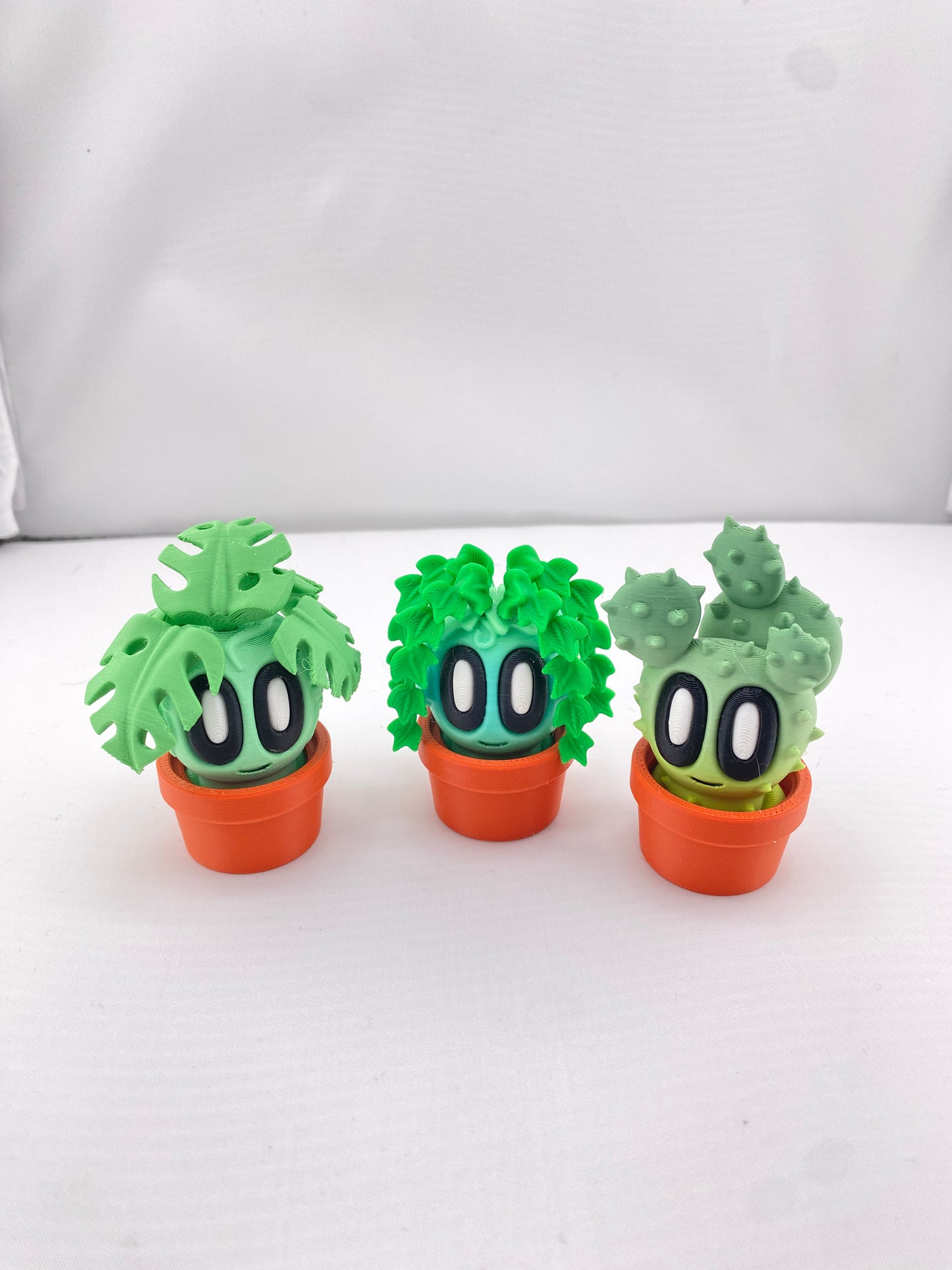 Mini Plants