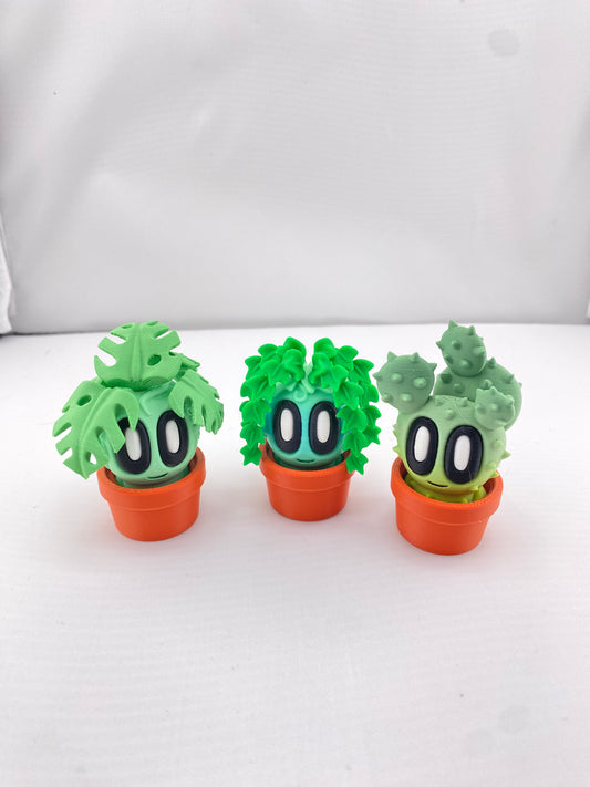 Mini Plants