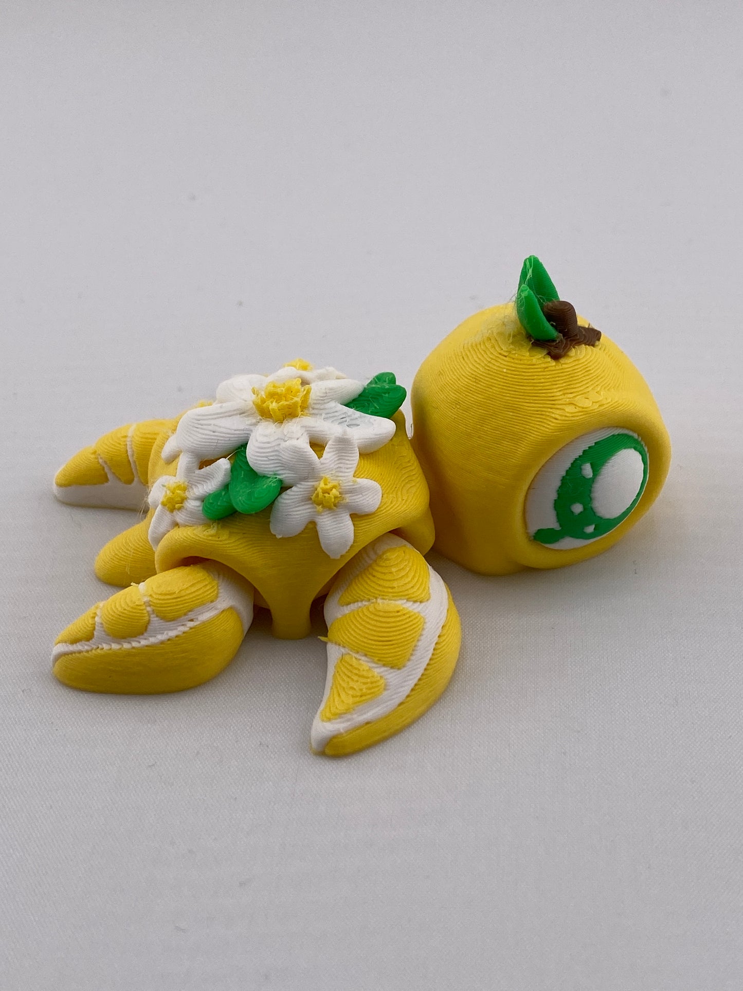 Themed Turtles