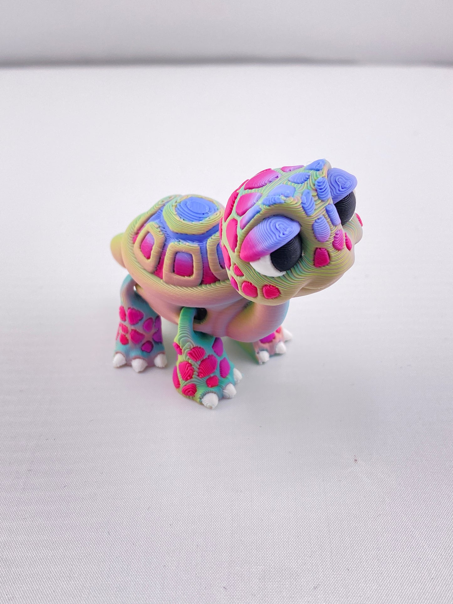 Small Tortise