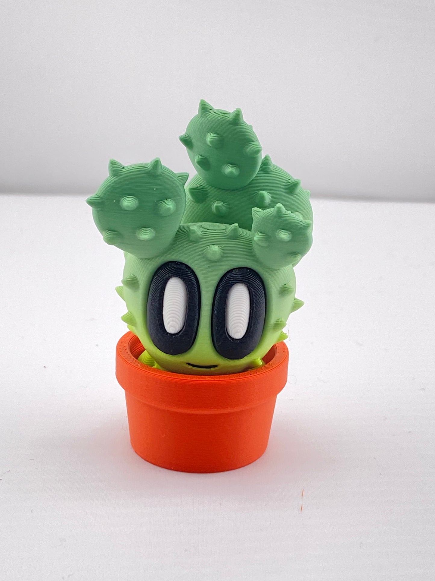 Mini Plants