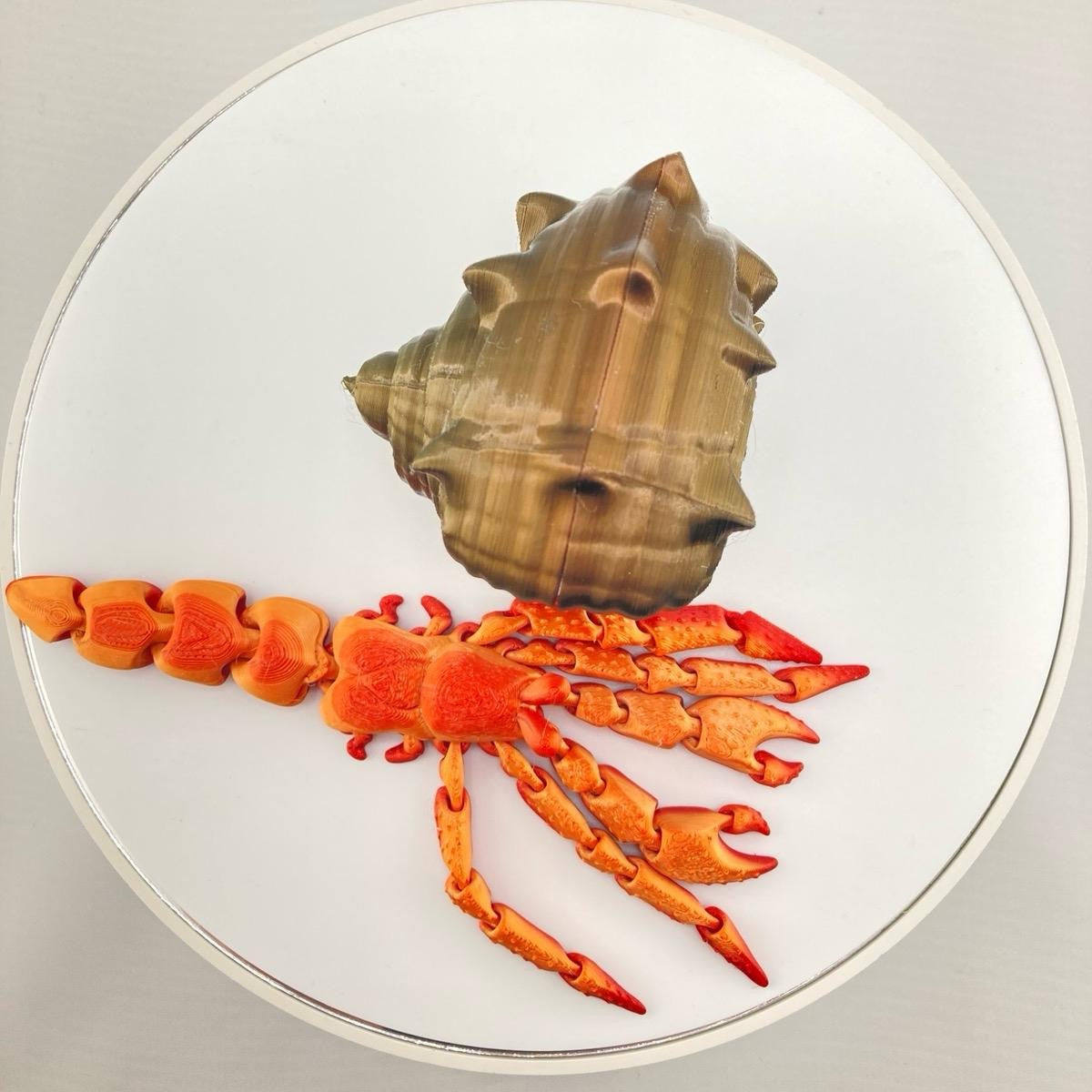 Hermit Crab With Removable Shell Figurine Decor