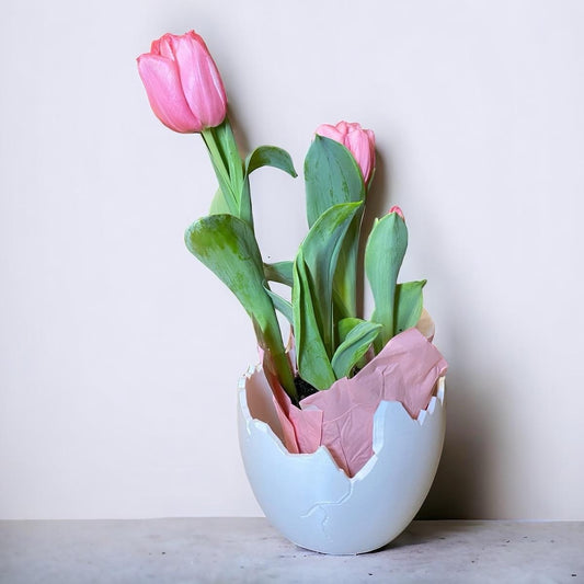 Cracked Egg Planter Easter Gift