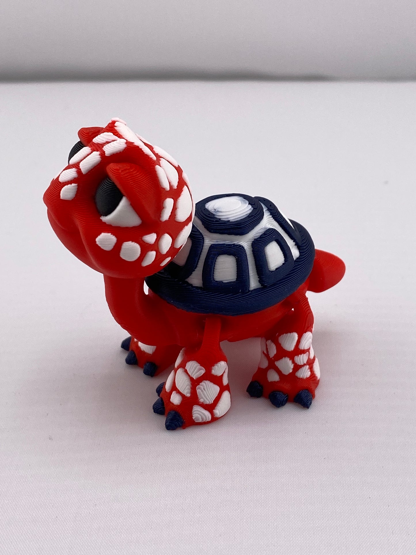 Small Tortise